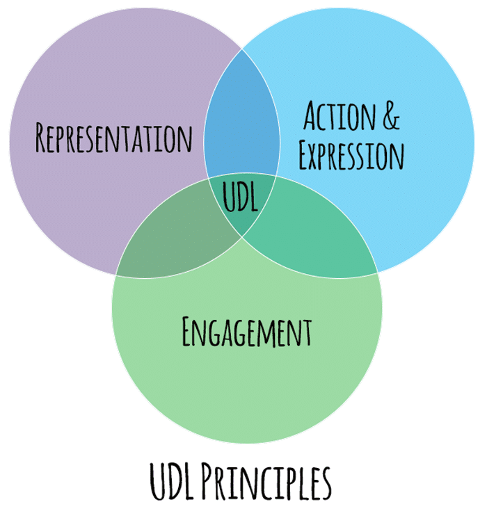 Universal Design for Learning CSA Education