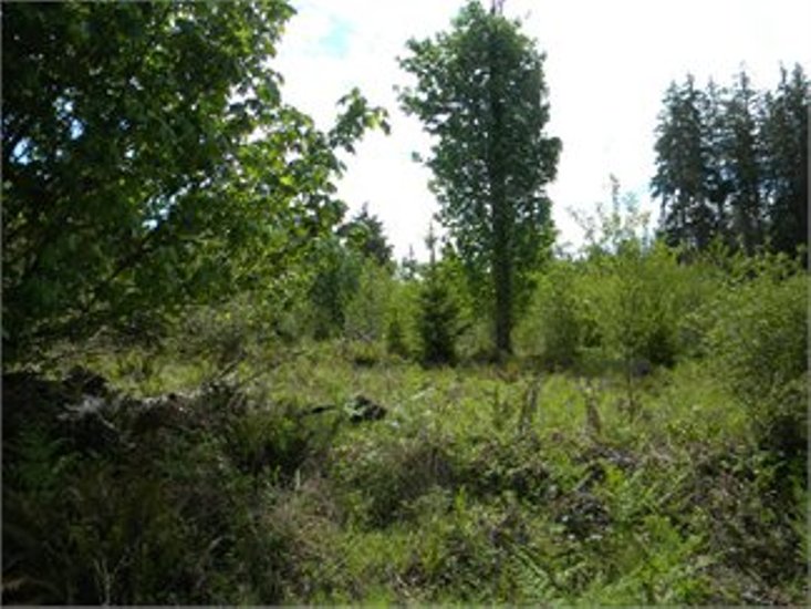 Vacant Land in Timberlake in Mason County, Washington Carol Smith's