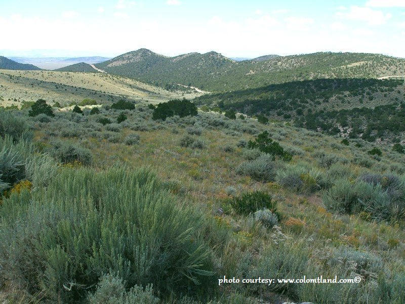 5 ACRES OF VACANT LAND IN COSTILLA COUNTY, CO SOLD FOR 1,825