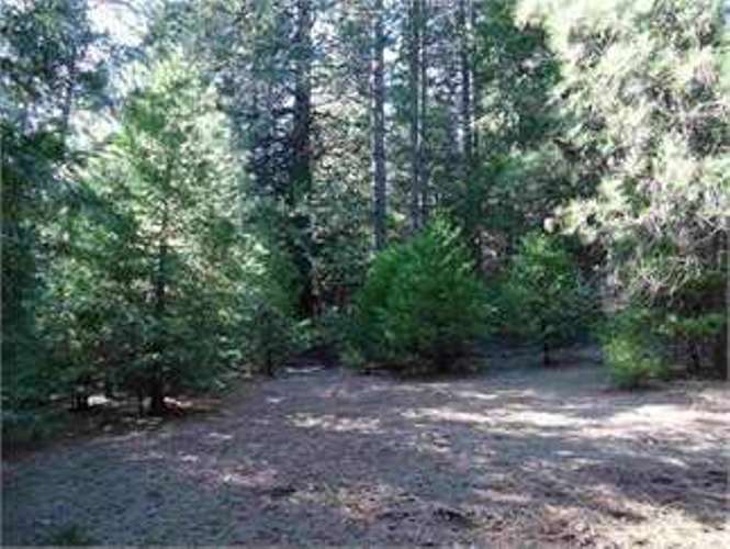VACANT LAND IN AMADOR COUNTY, CA SOLD FOR 35,000! Carol Smith's