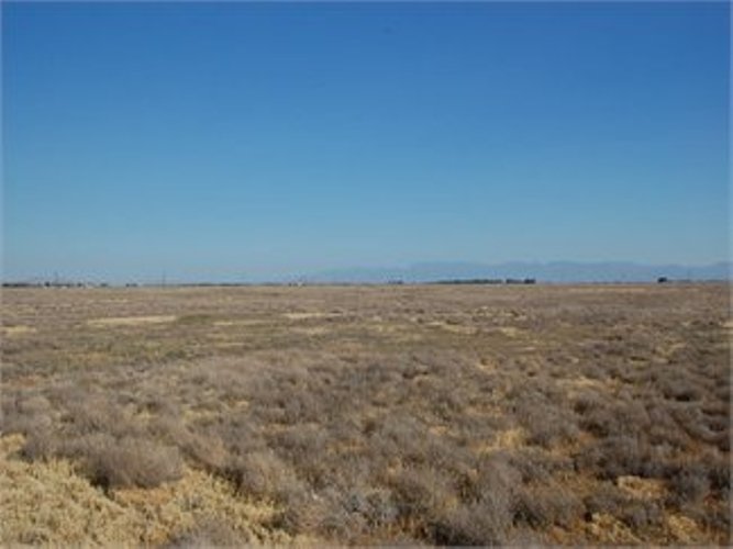 0.17 Acres of Vacant Land in Los Angeles County, CA SOLD FOR 1,500