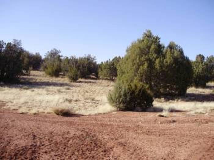 2 ACRES OF IMPROVED LAND IN YAVAPAI COUNTY, AZ SOLD FOR 3,550