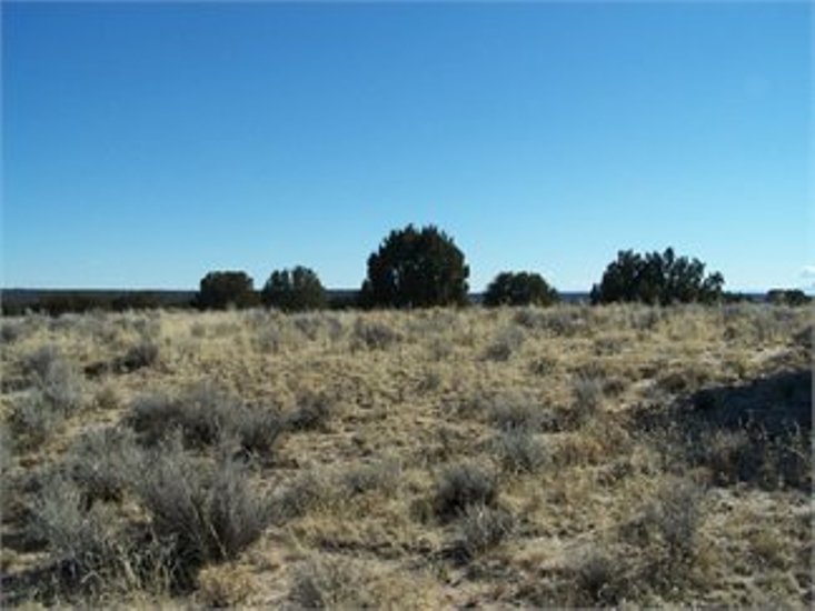 5 ACRES of VACANT LAND IN APACHE COUNTY, AZ SOLD! Carol Smith's