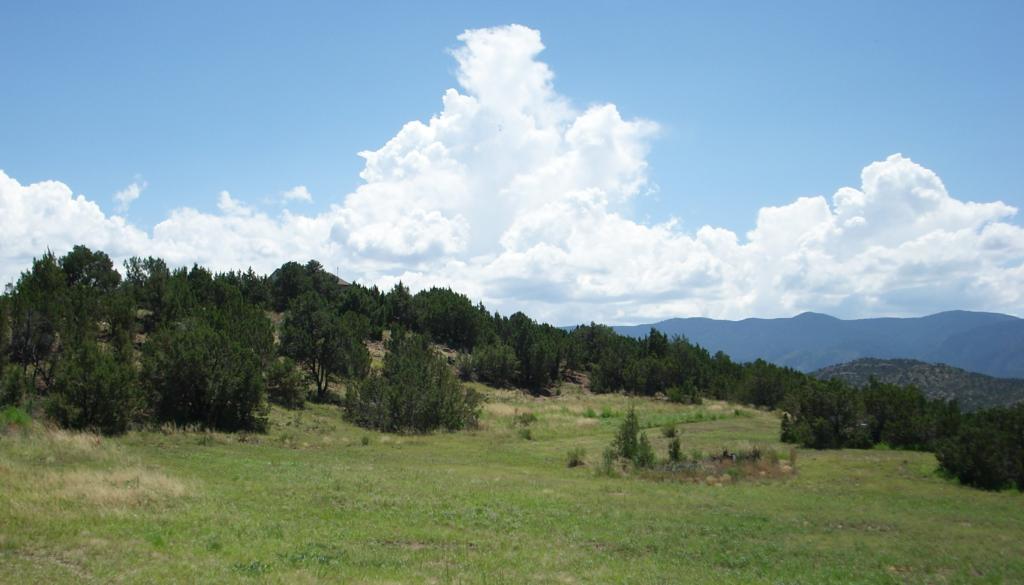 2.39 ACRES of VACANT LAND in FREMONT COUNTY, CO SOLD FOR 3,000