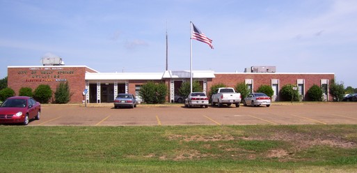 TVA Complaint Resolution Holly Springs Utility Department