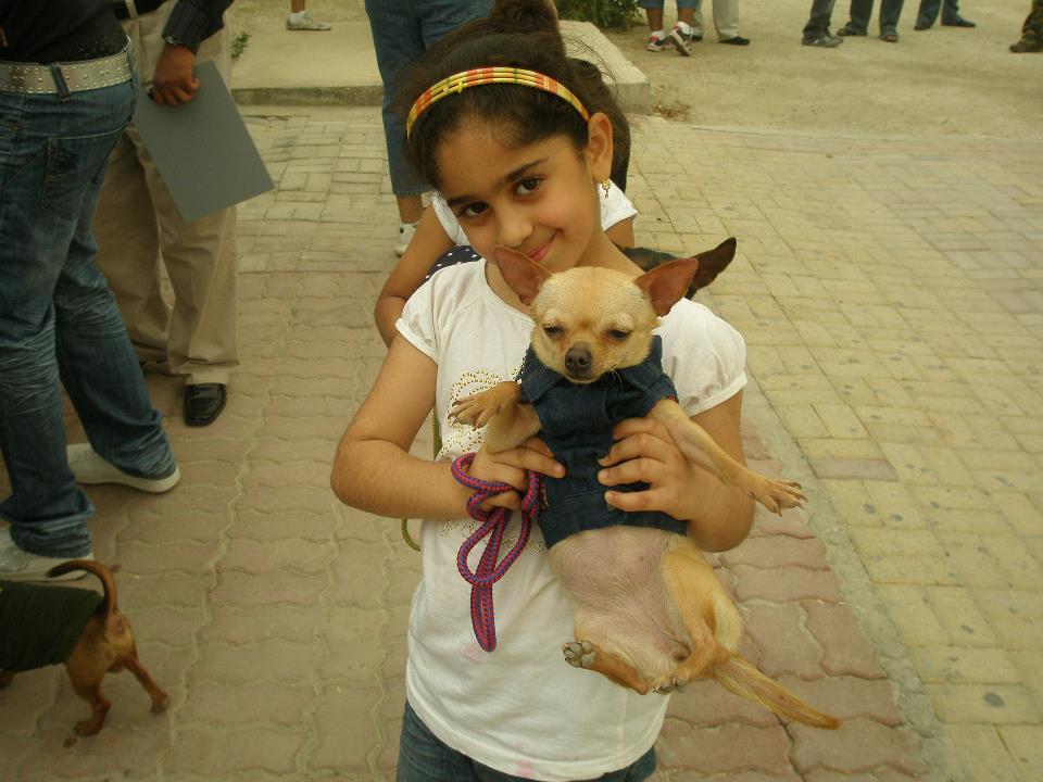 Cat Society of Bahrain and Pet Animals