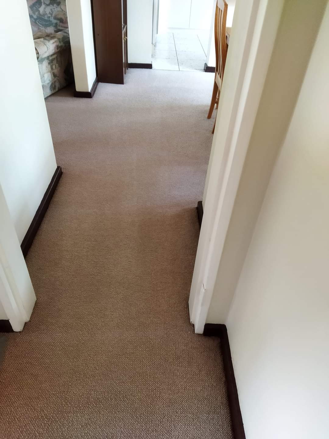 Professional Carpet Cleaning Cape Town Northern & Southern