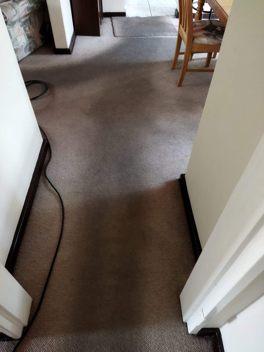 Professional Carpet Cleaning Cape Town Northern & Southern