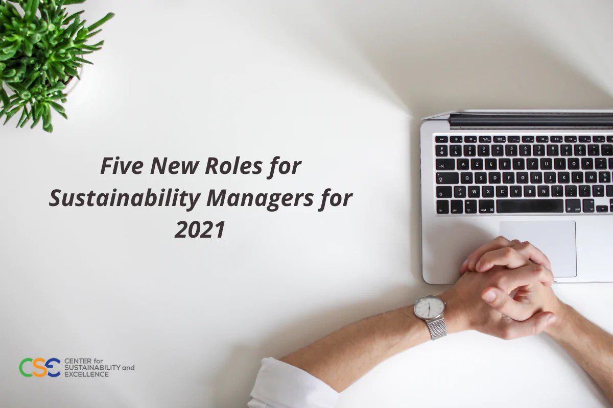 Five New Roles for Sustainability Managers in 2021 Centre for