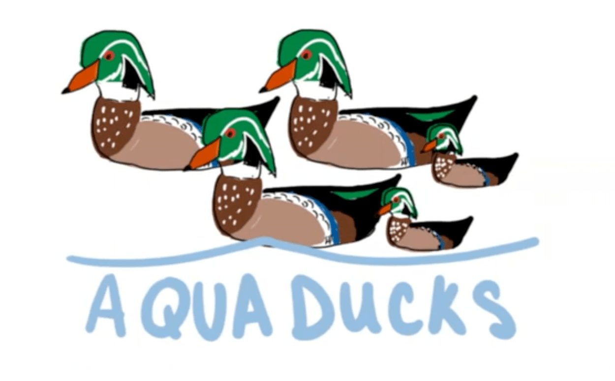 Aquaducks Improving Water Quality, Together Center for Socially