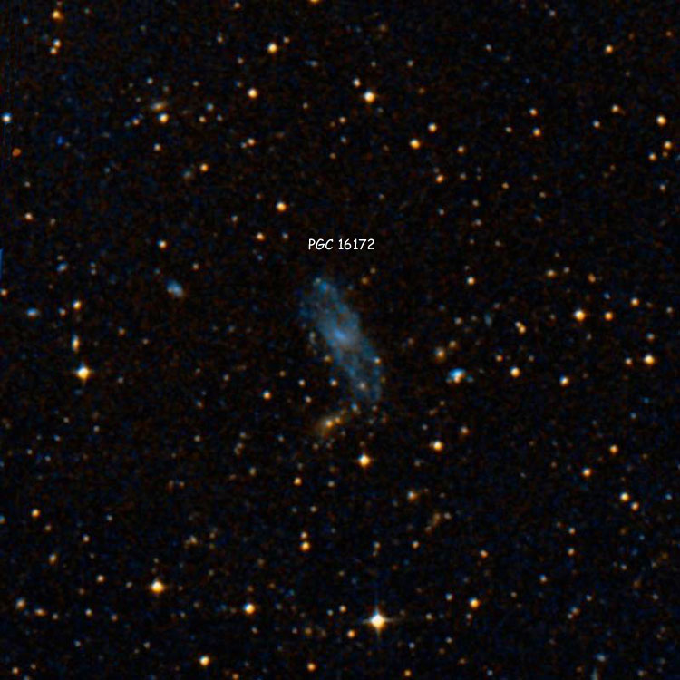 Principal Galaxy Catalog (PGC) Objects 16000 to 16499