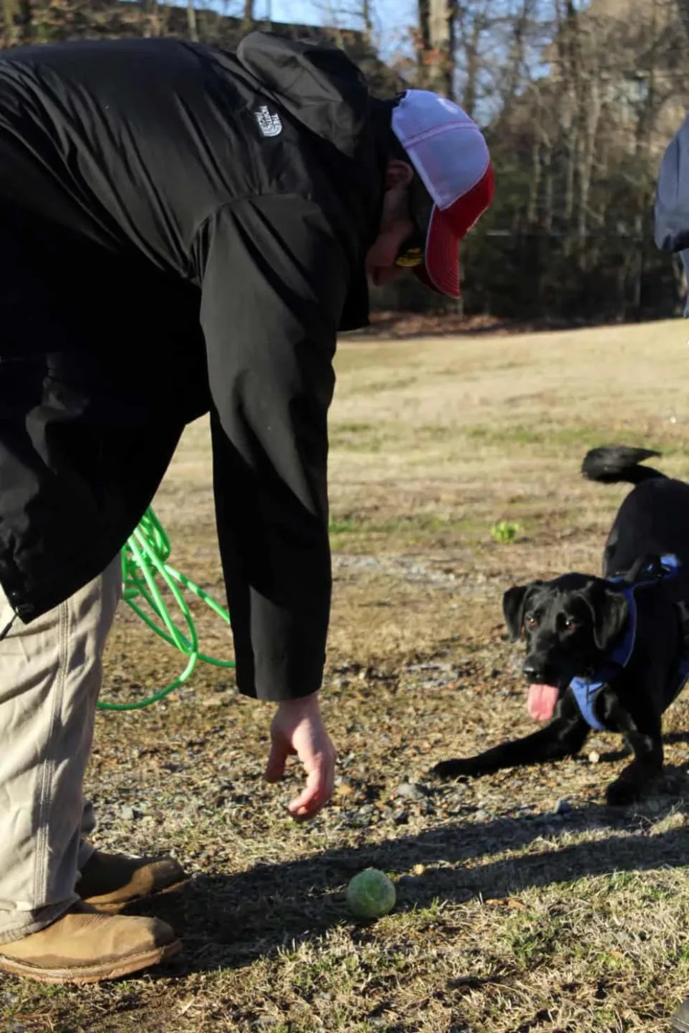 Exclusive Interview with America's First Water Leak Detection Dog
