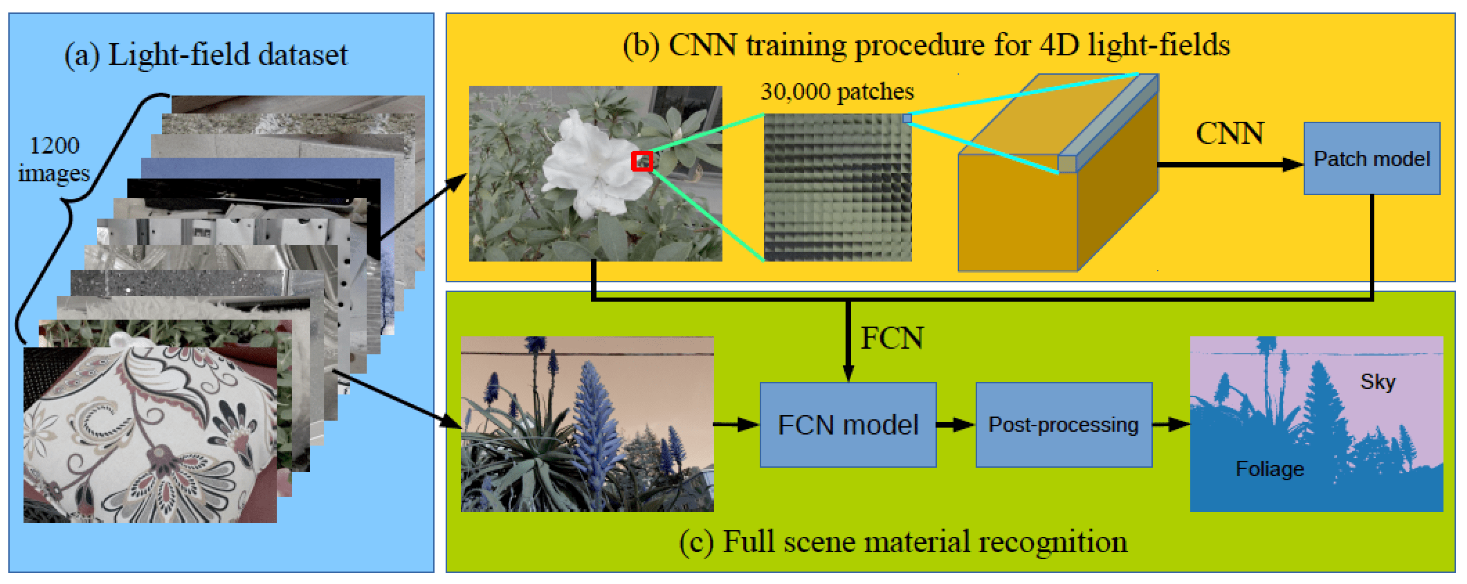 Light Field Rendering Software Shelly Lighting