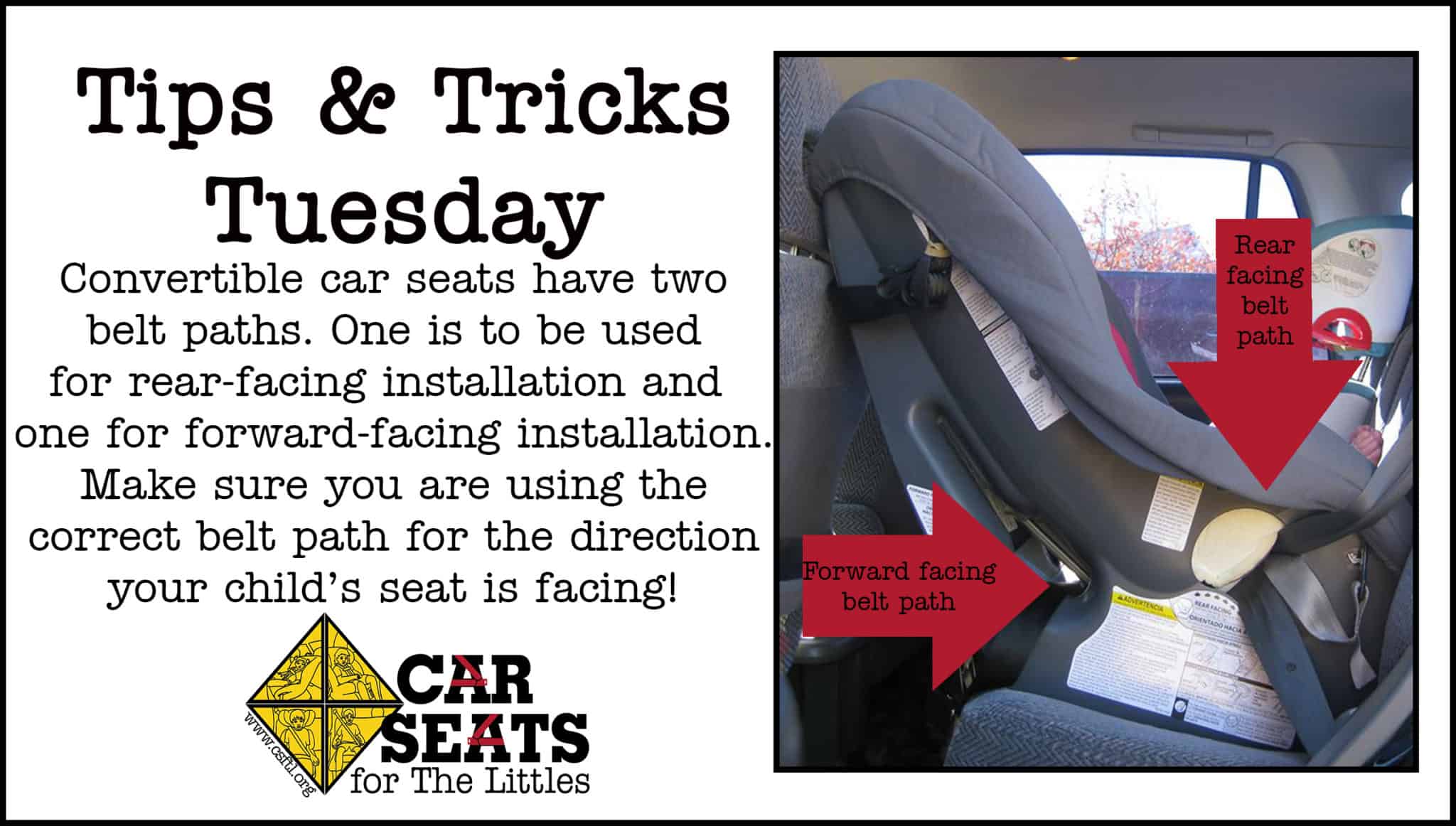 Educational Graphics Car Seats For The Littles