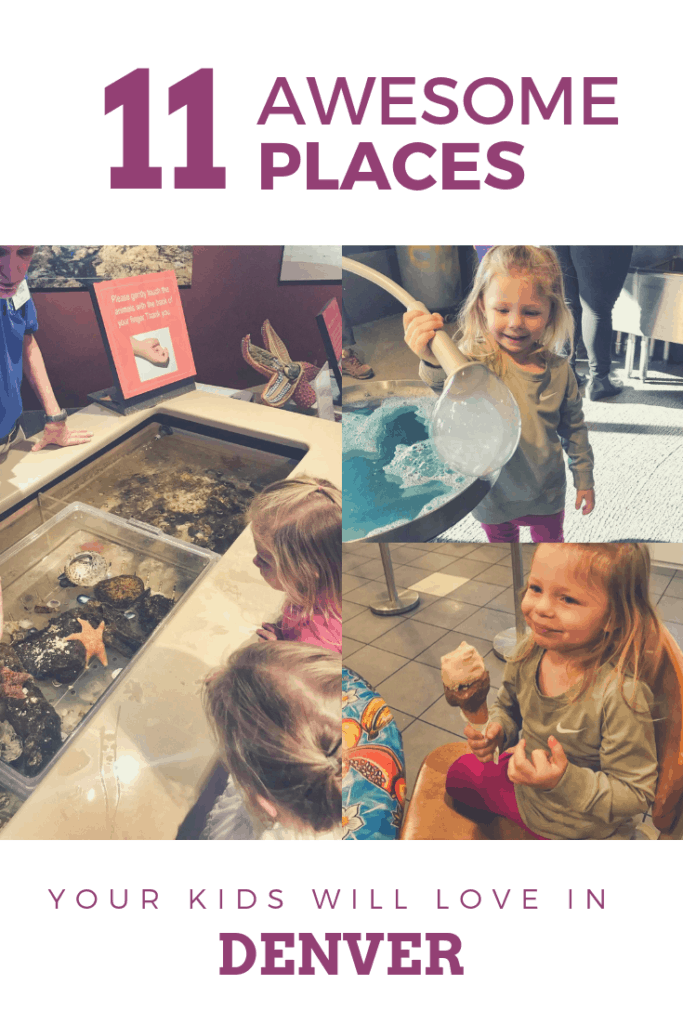 28 Best KidFriendly Places in Denver Colorado CS Ginger Travel