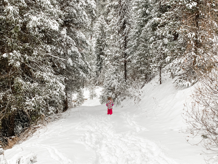 Cutting Down a Christmas Tree in Idaho CS Ginger Travel