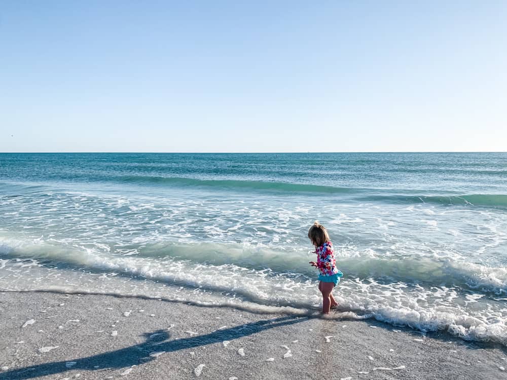 31 Amazing Things to Do in Siesta Key, Florida CS Ginger Travel