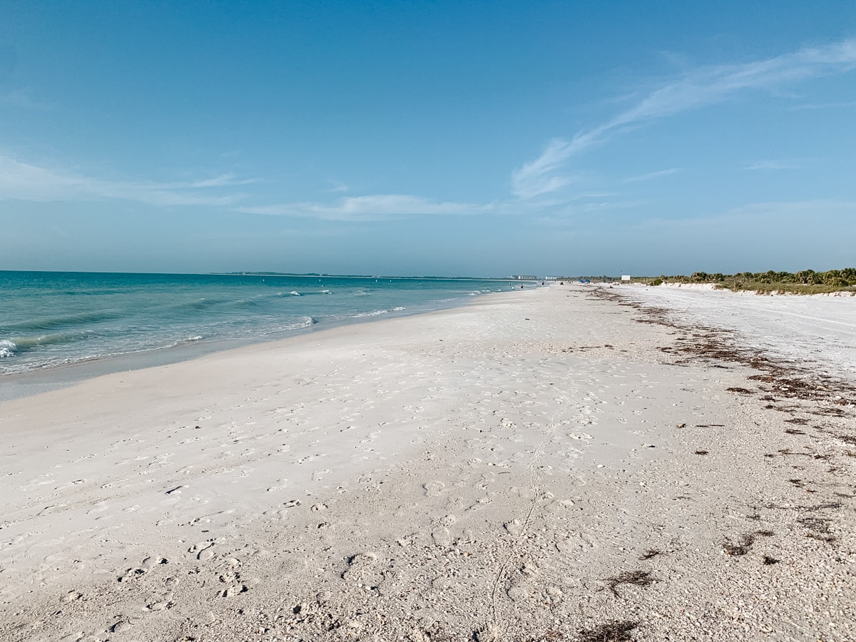 The Ultimate Guide to Visiting Caladesi Island near Clearwater CS