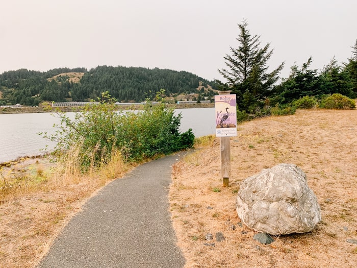 21 Best Things to do in Gold Beach Oregon CS Ginger Travel