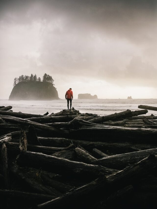 What To Do Near Forks, WA CS Ginger Travel