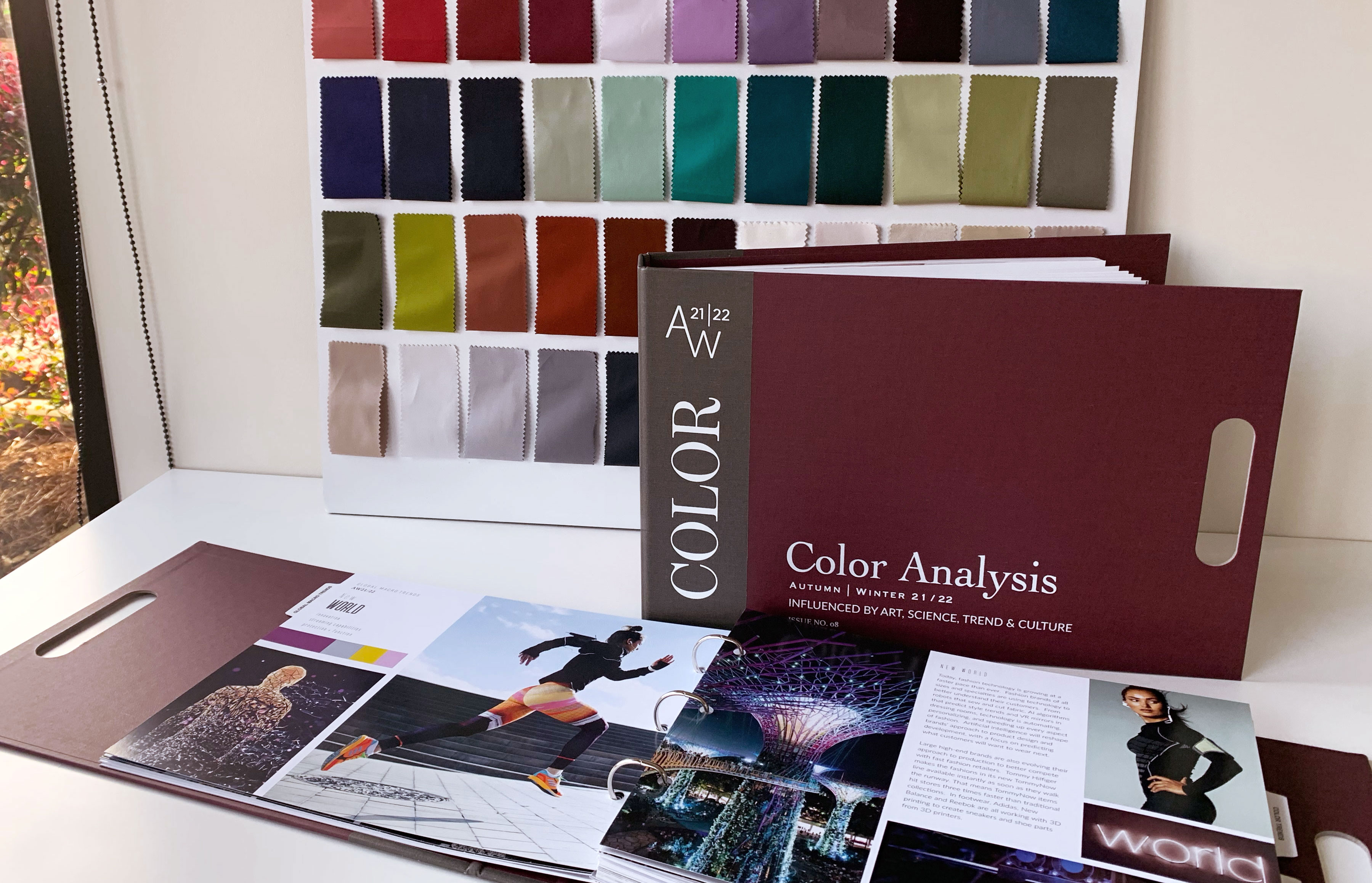 IMG_2232crop Color Solutions International