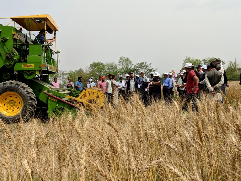 Cereal Systems Initiative for South Asia (CSISA) » mechanization