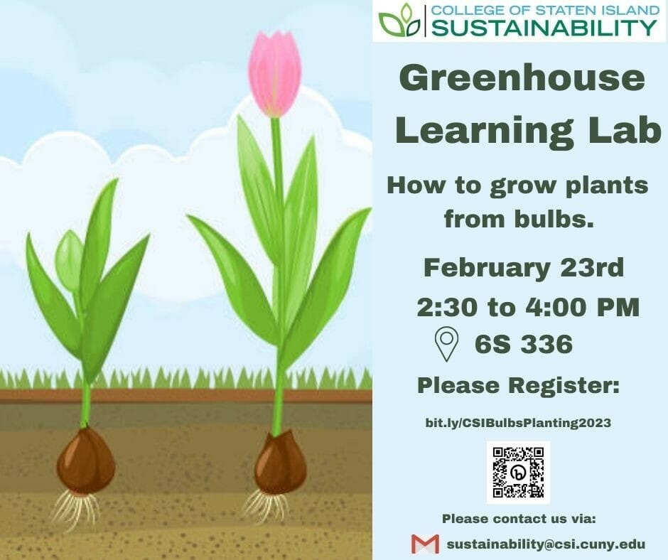 Greenhouse Learning Lab How to Grow Plants from Bulbs CSI Today