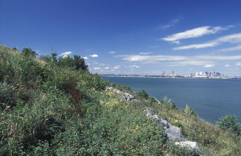 Clarissa Rowe '74 The Conway School