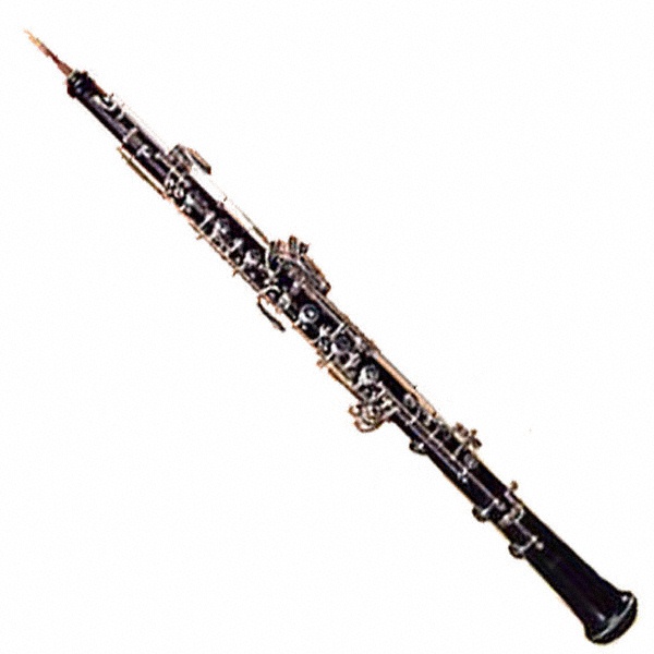 Aprenantatge d'eduació infantil Instruments de VentFuesta