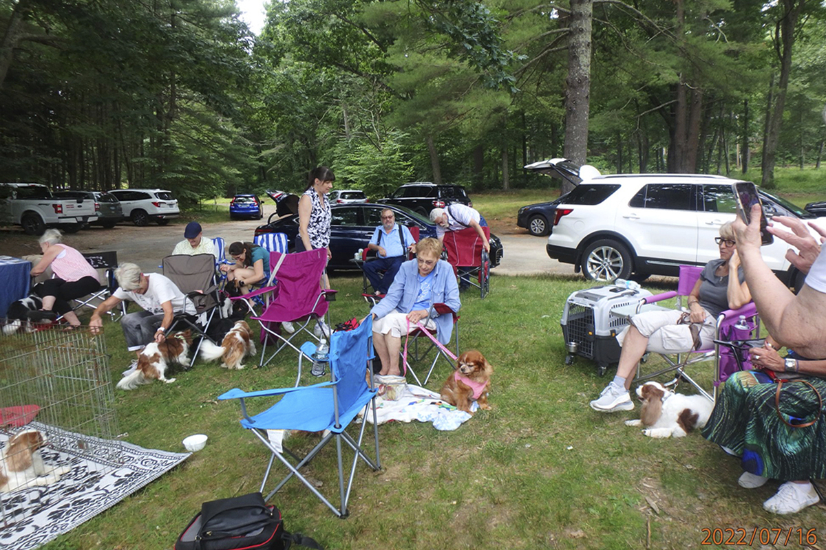Cavalier Meetups Cavalier King Charles Spaniel Club of Southern New