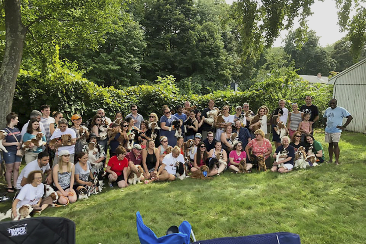 Cavalier Meetups Cavalier King Charles Spaniel Club of Southern New