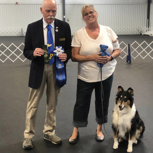 PERFORMANCE Cavalier King Charles Spaniel Club of Southern New England