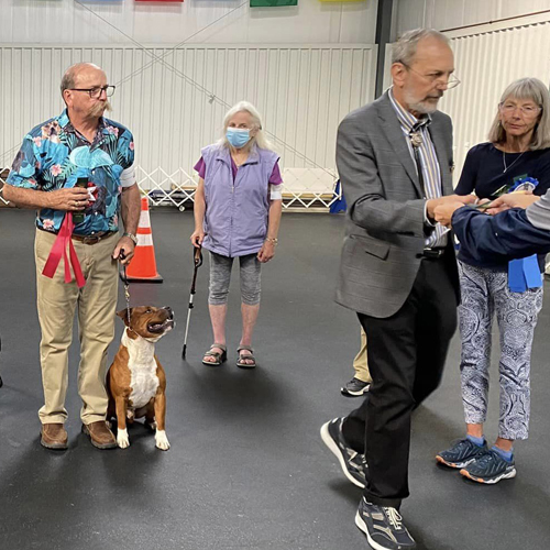 PERFORMANCE Cavalier King Charles Spaniel Club of Southern New England