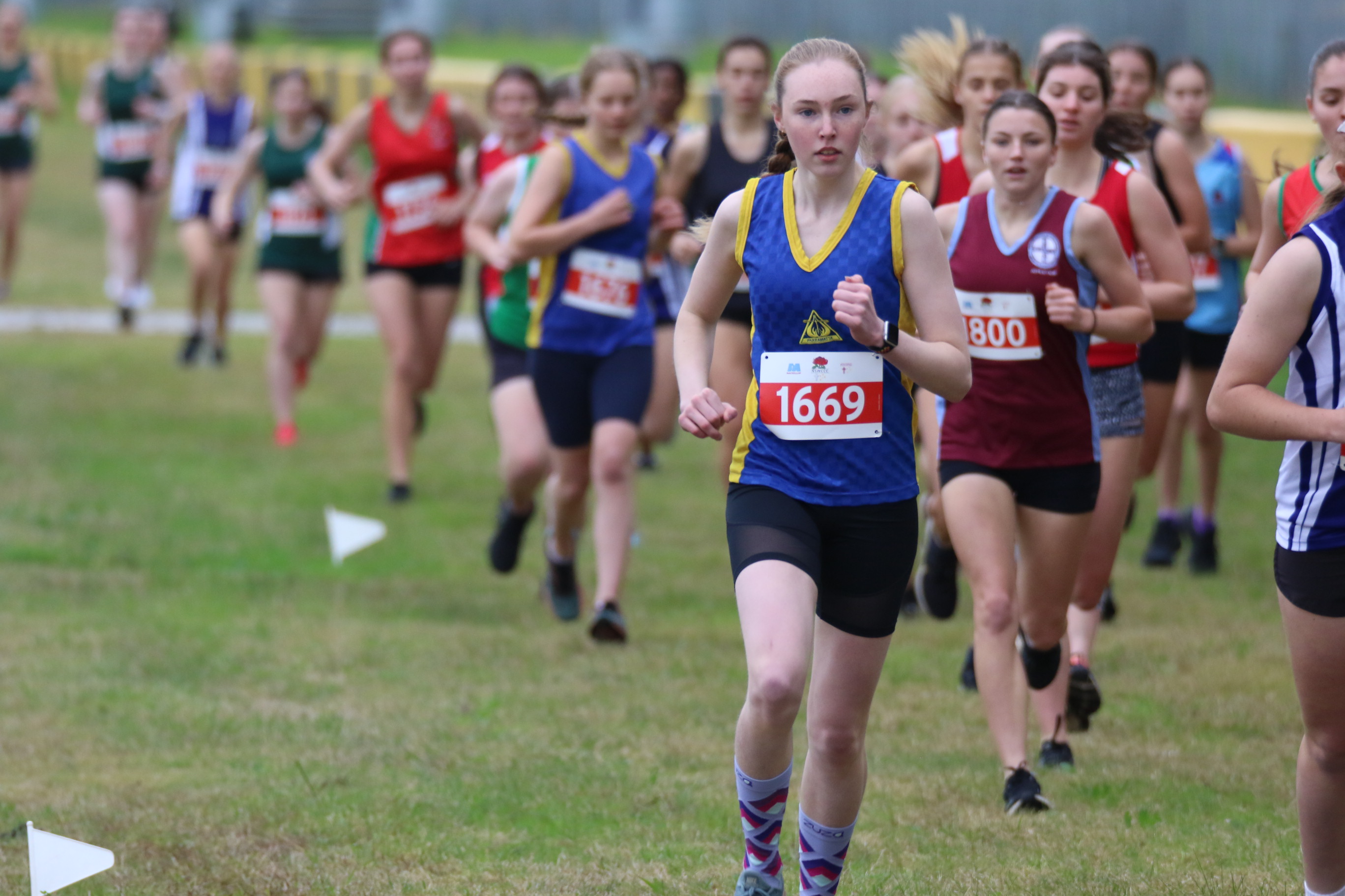 CSNSW Sports Website Maitland-Newcastle Catholic News