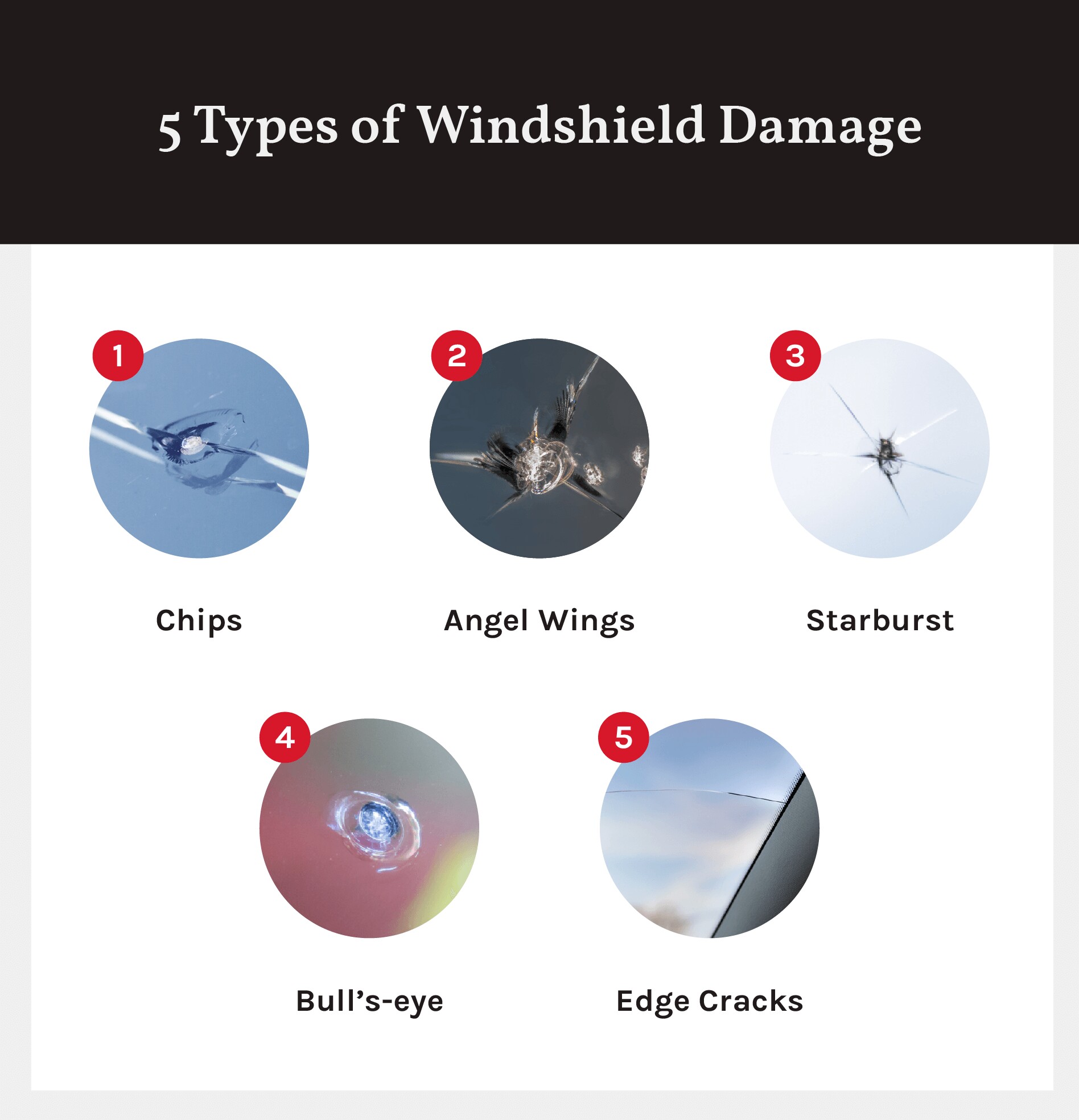 How Much Does It Cost To Replace a Windshield? AAA Automotive