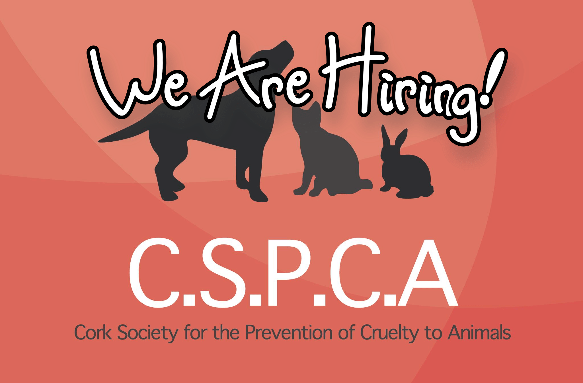 Kennel Supervisor for the CSPCA CSPCA