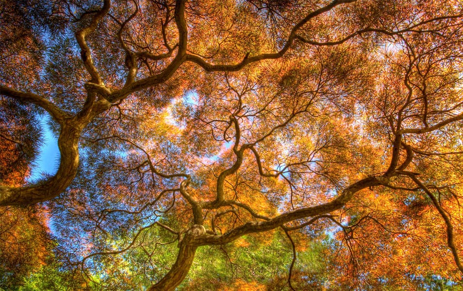 30 Beautiful Examples Of Nature Photography Inspiration