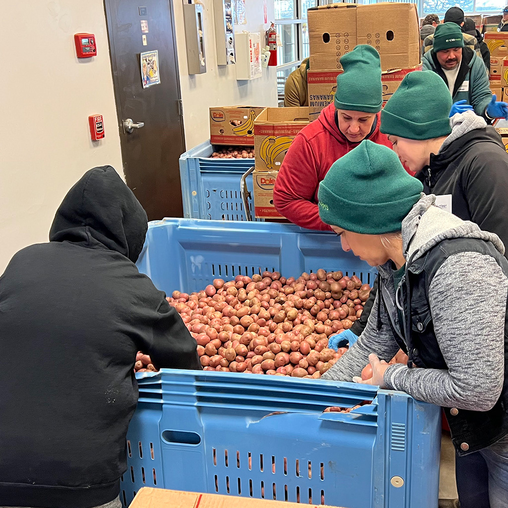 Sustainability CSS Farms