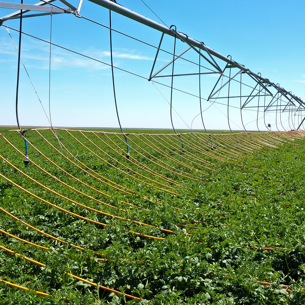 Sustainability CSS Farms