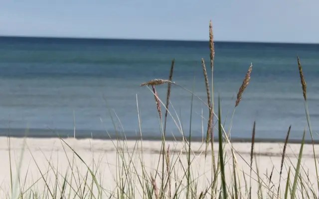 "Goodewind" in Breege mieten Femaris Ferien auf Rügen