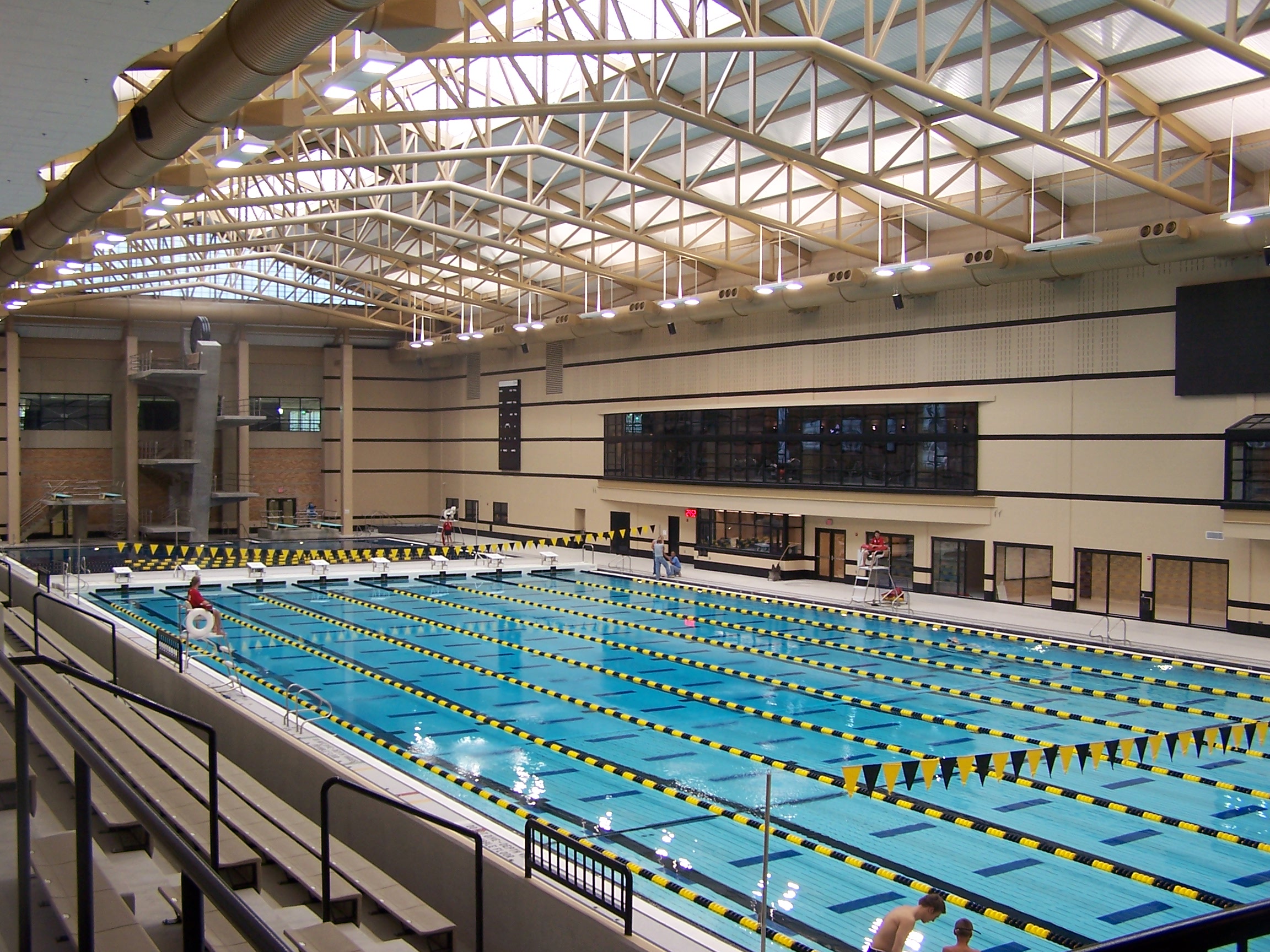 Mizzou Aquatic Center CollegeSwimming