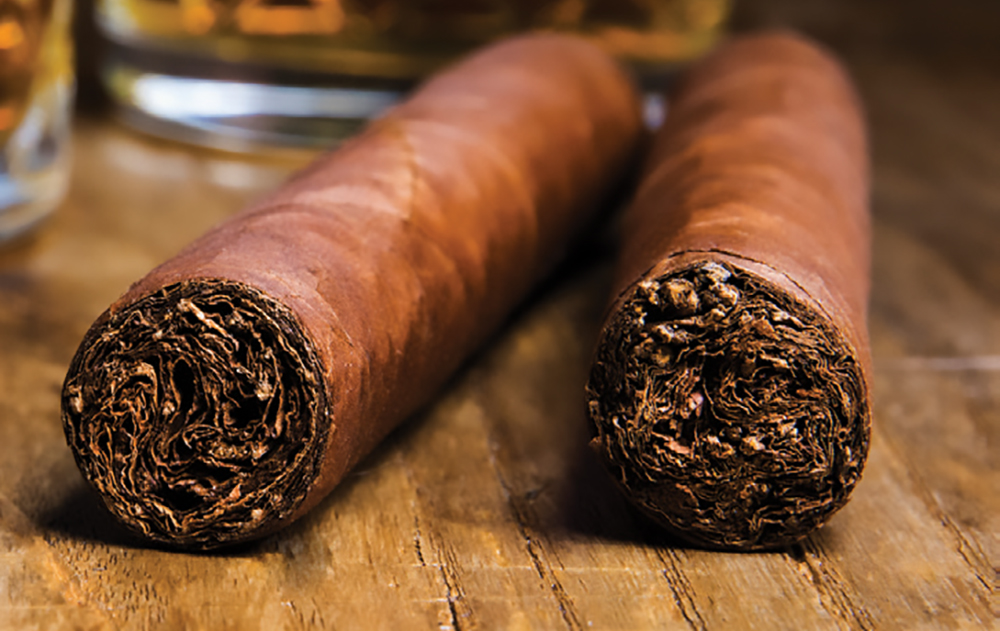 What Do Cigars Have in Common? The Blogging of Stein 900