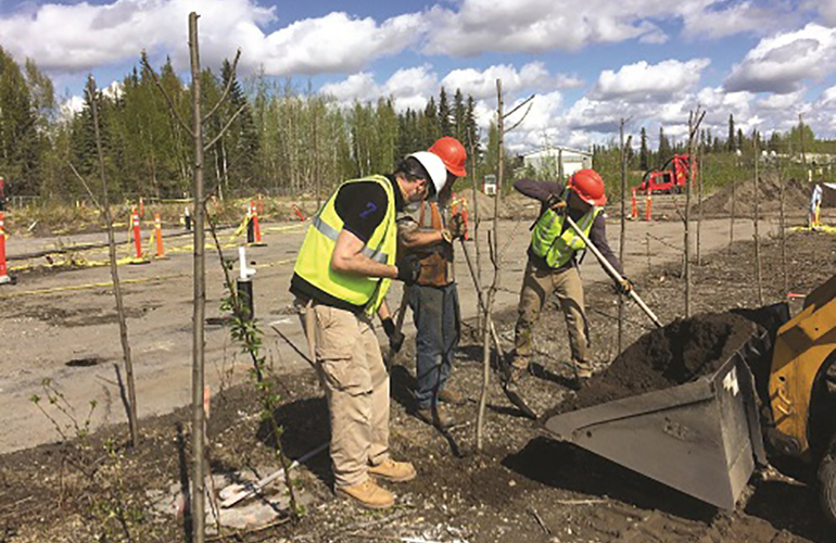Marathon Petroleum Tests Sustainable Approach to Remediation Projects