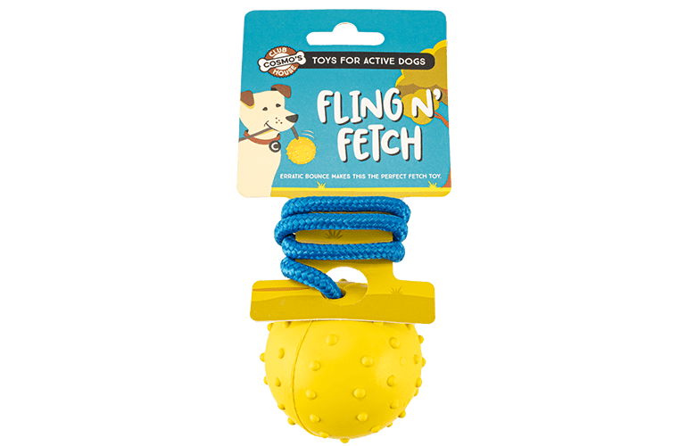 Fetch Toy for Dogs CStore Decisions