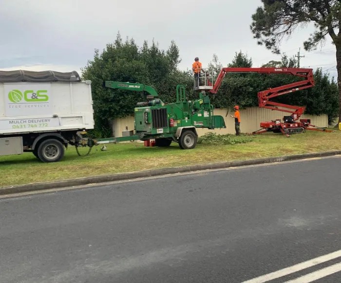 The Importance of Trimming Trees on your Property