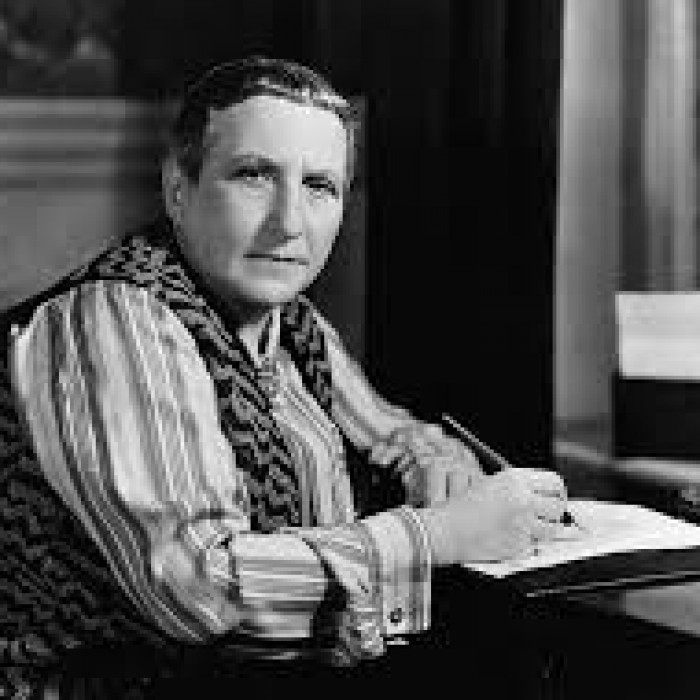 Gertrude Stein Biography