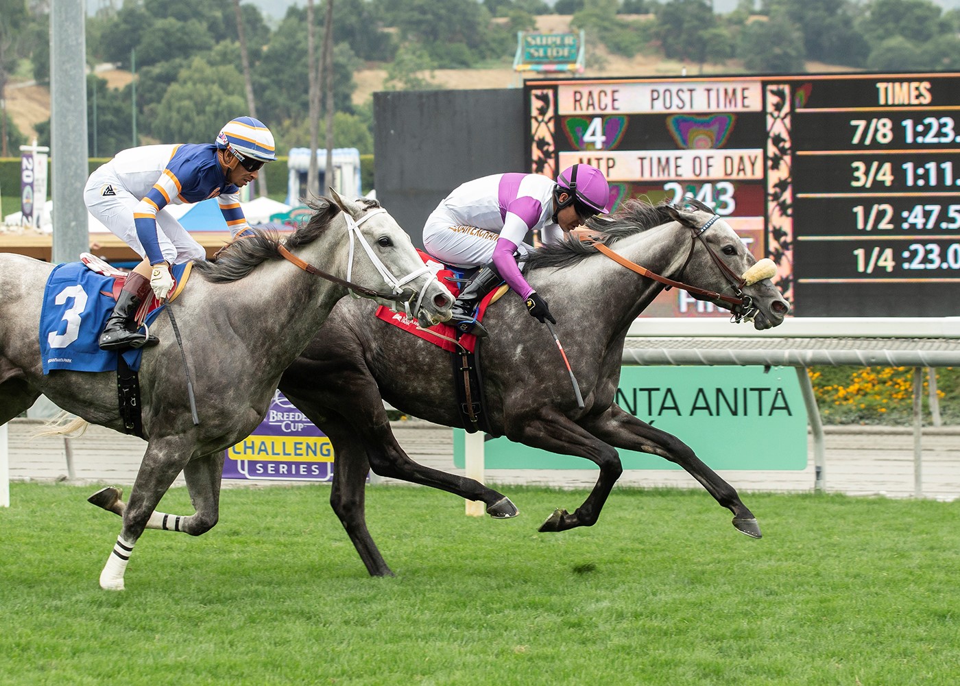 Eddie’s New Dream Wins Fran’s Valentine CTBA