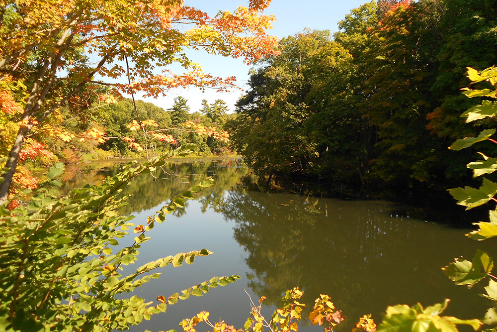 ICYMI Resources from the CT Land Trust Risk Management Initiative