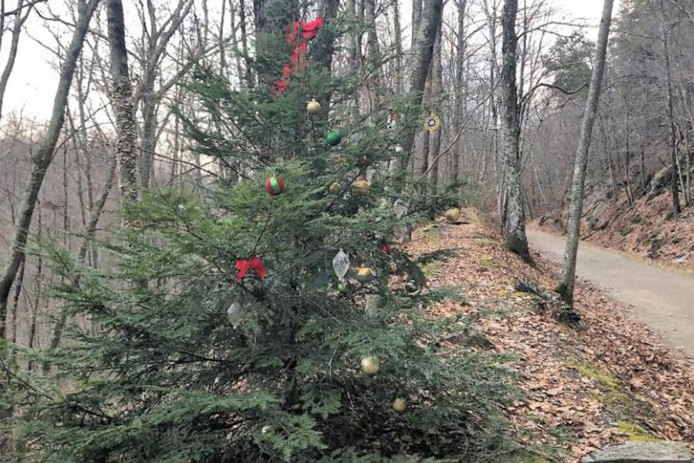 In Southington, Christmas Trees Keep on Giving... and Support Land