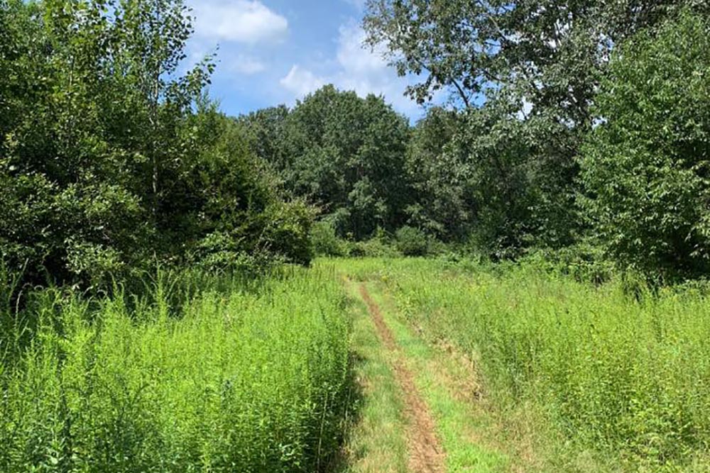 Municipal Funding Option Connecticut Land Conservation Council